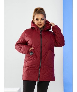 Куртка 24112505