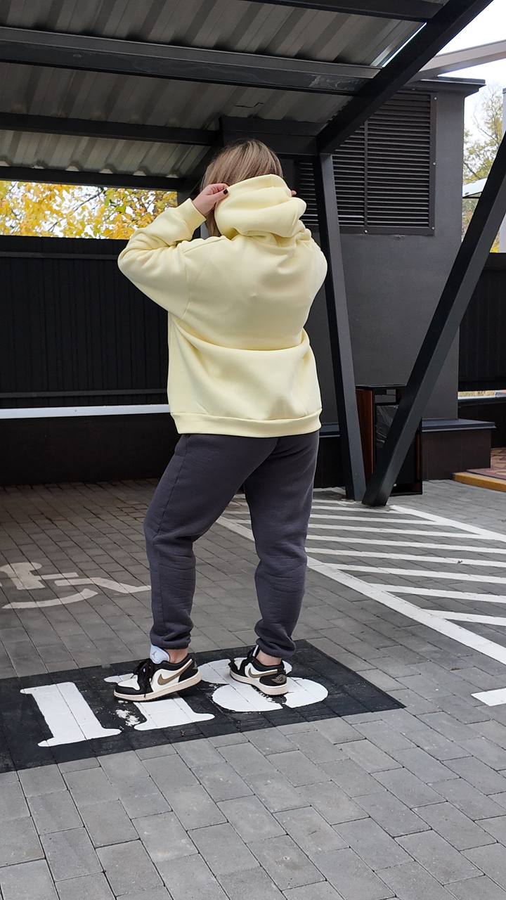 Джоггери 29102502